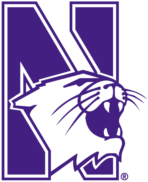 Northwestern Wildcats 1981-Pres Alternate Logo iron on transfers for fabric